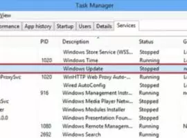 Fix a Wuauserv High CPU Usage Error