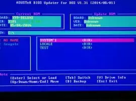 update a bios